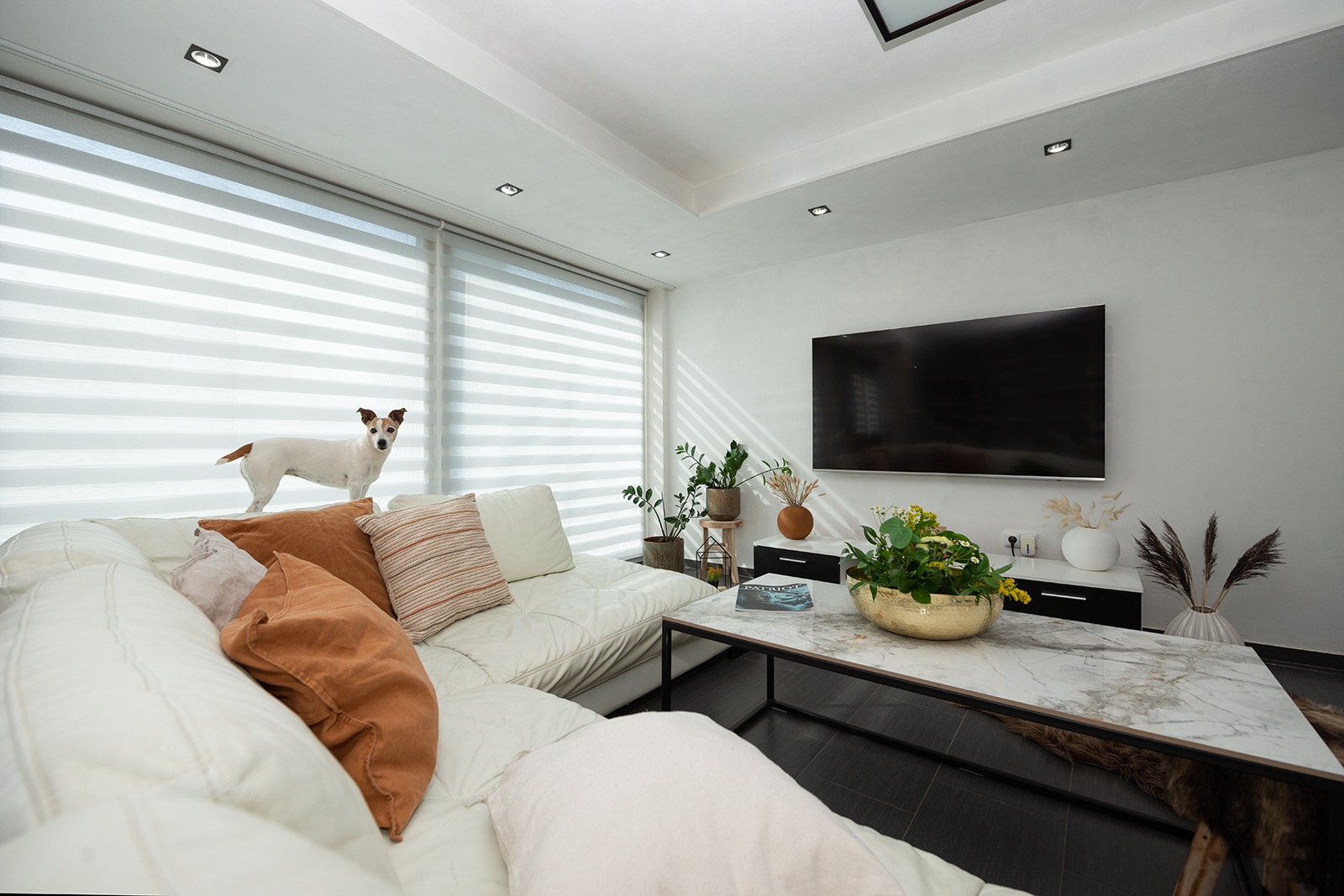 Látkové stínění den a noc se psem před oknem v obývacím pokoji